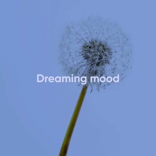 Dreaming Mood By IMUSIC - imusic.am