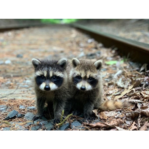 Untitled Playlist By SkylaV - imusic.am