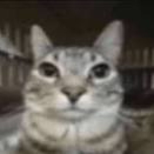 Wut By Luna1971 - imusic.am