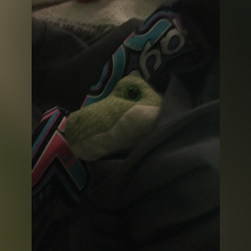 My favs By Imnotasaneperson - imusic.am