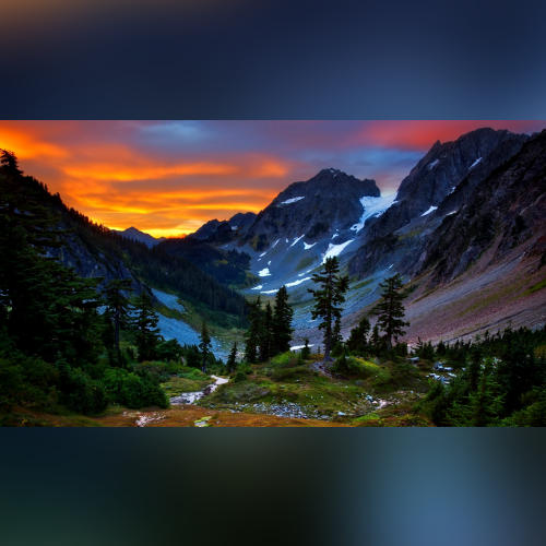 🌟 By chris - imusic.am