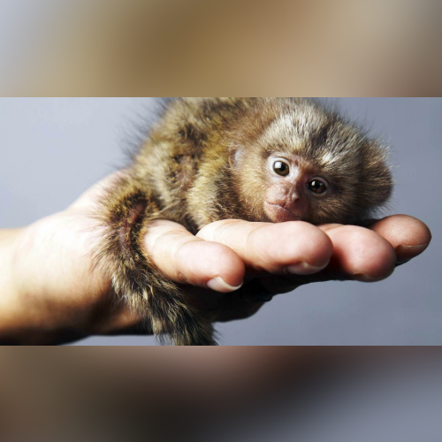 Heidy's playlist good songs By Heidy - imusic.am