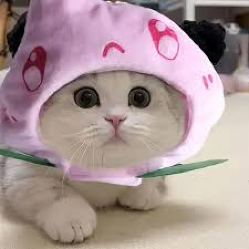 ♱ By Cherry - imusic.am