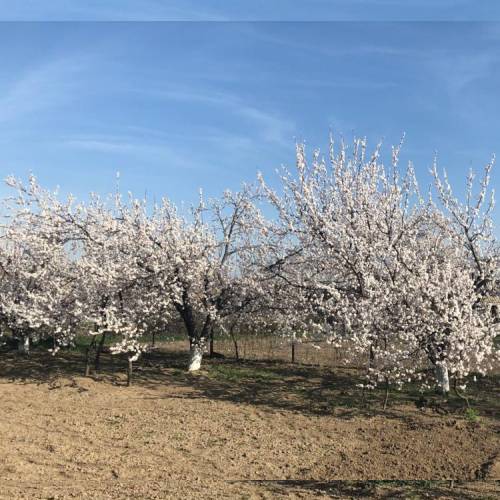 ClassicILove By lohanyan - imusic.am