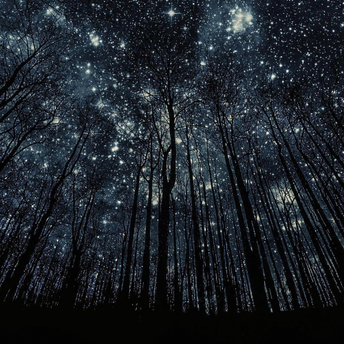 Night By SydPlant - imusic.am