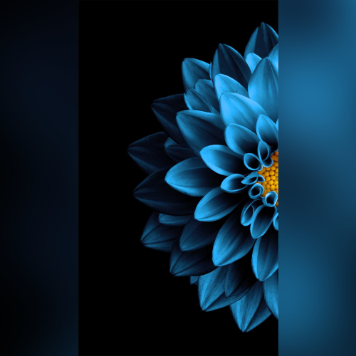 LookIntoStormAndFeelRain By David - imusic.am