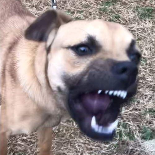 drivennn By NINI - imusic.am