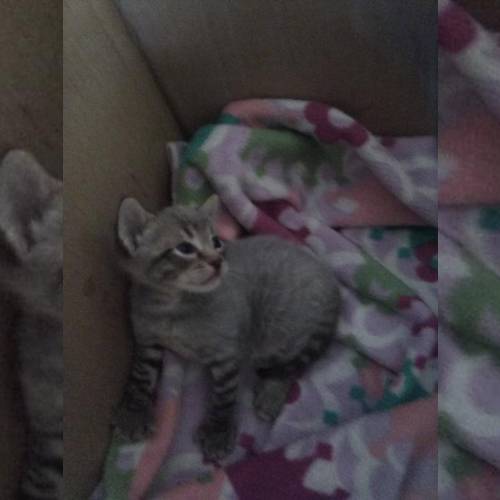 school year 2019-2020 By jade - imusic.am