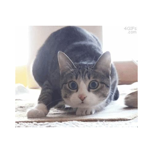 yoboijay By Yo_Boi_JAY - imusic.am