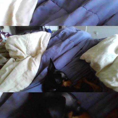 rap By darknight - imusic.am